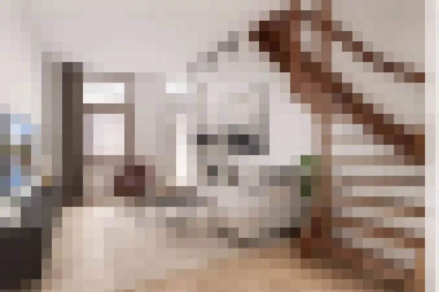 Geervlietsestraat 13 Schiedam thumbnail 4