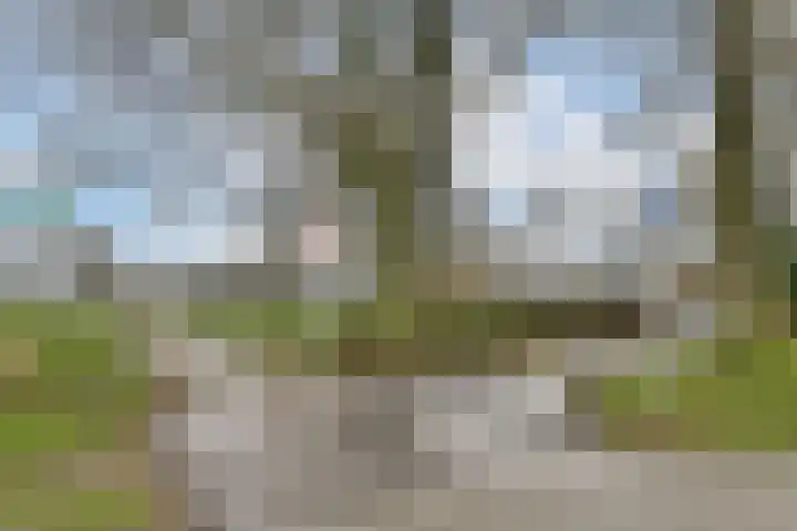 Geervlietsestraat 23 Schiedam thumbnail 26