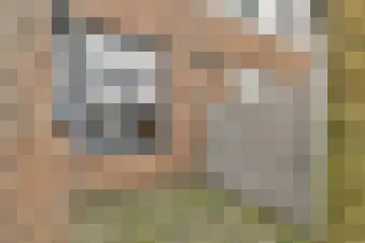 Geervlietsestraat 23 Schiedam thumbnail 9