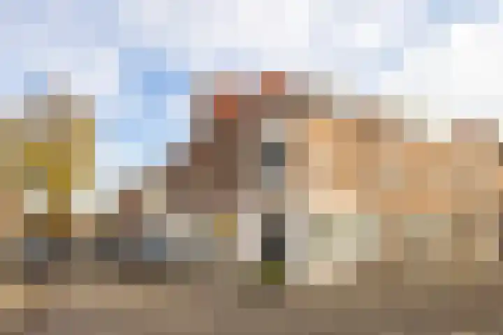 Geervlietsestraat 3 C Schiedam thumbnail 20