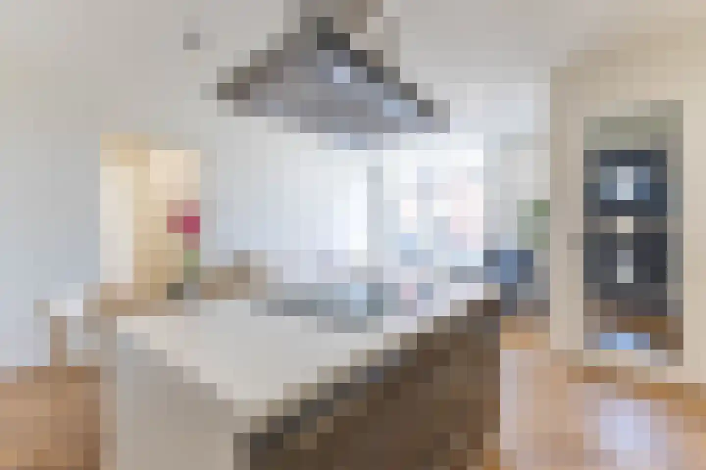 Geervlietsestraat 4 B Schiedam thumbnail 9