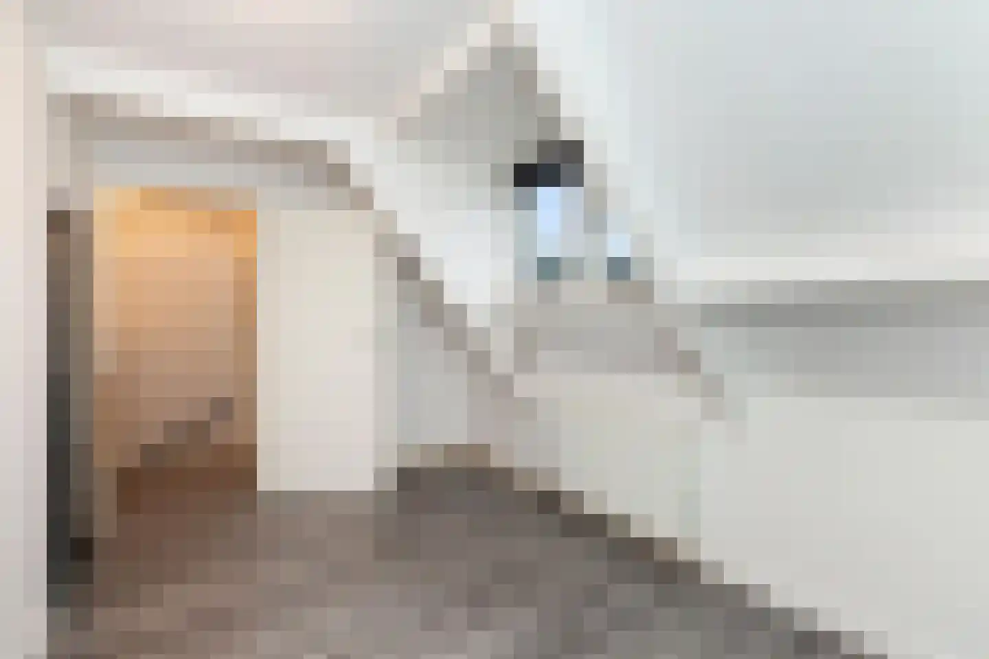 Geervlietsestraat 8 B Schiedam thumbnail 19