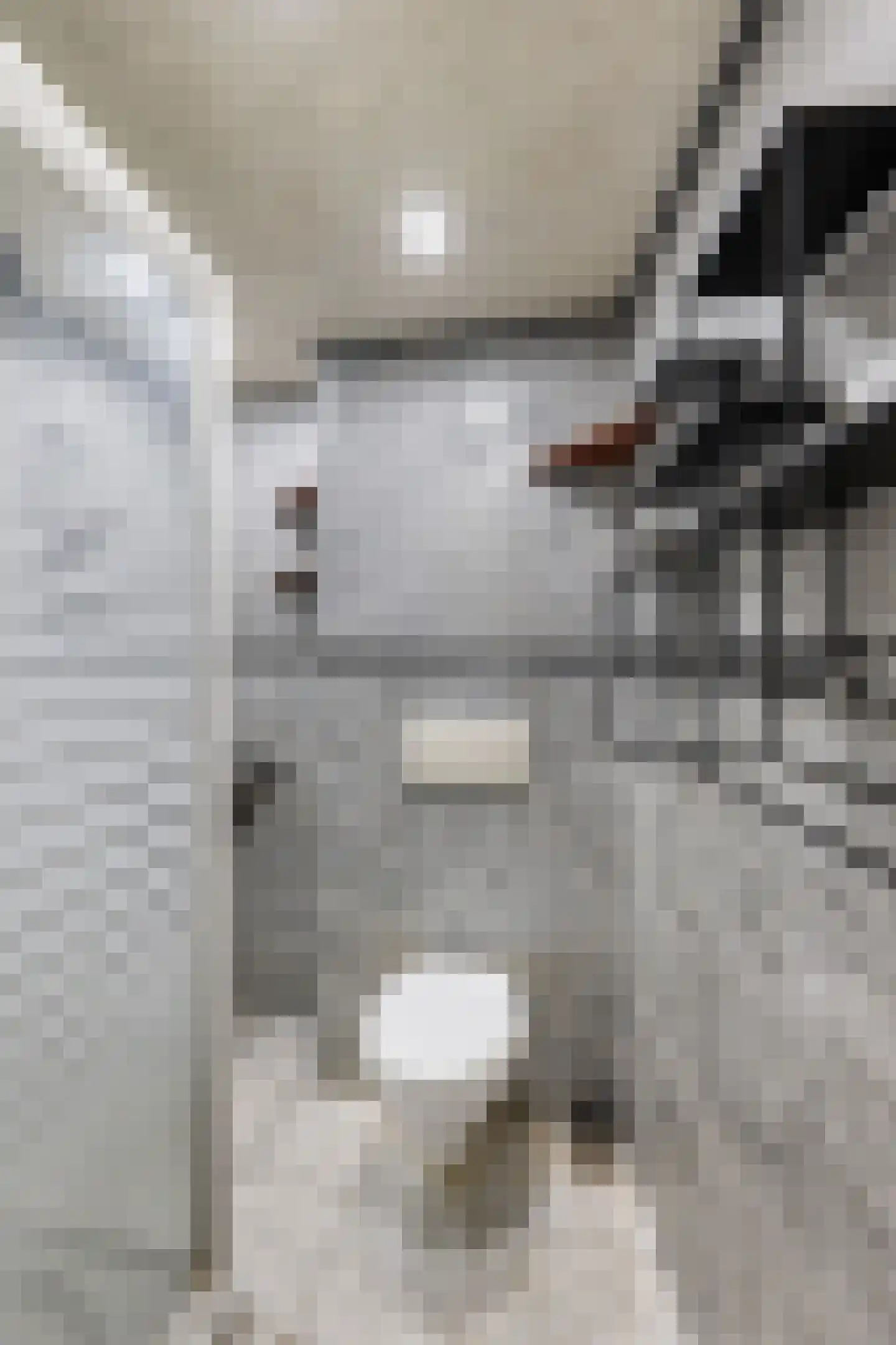 Geervlietstraat 28 B Rotterdam thumbnail 14