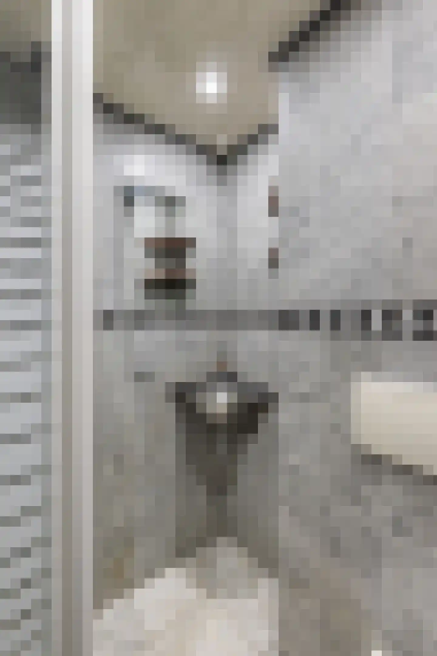 Geervlietstraat 28 B Rotterdam thumbnail 15
