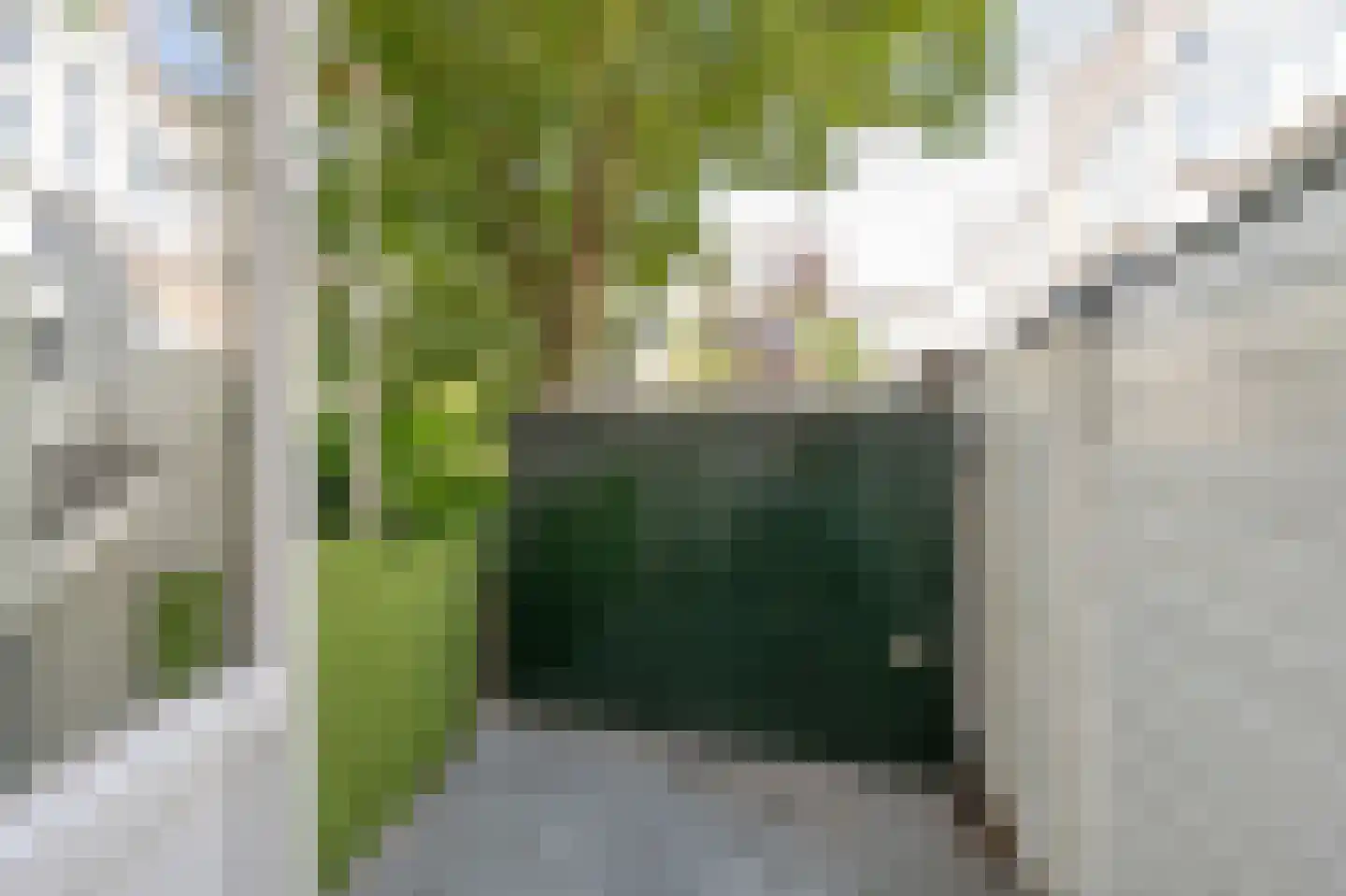 Geervlietstraat 3 Rotterdam thumbnail 5