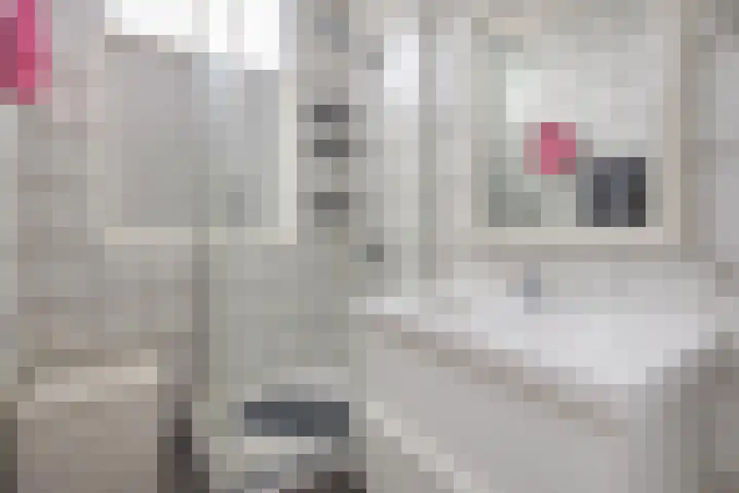Geervlietstraat 30 Rotterdam thumbnail 16