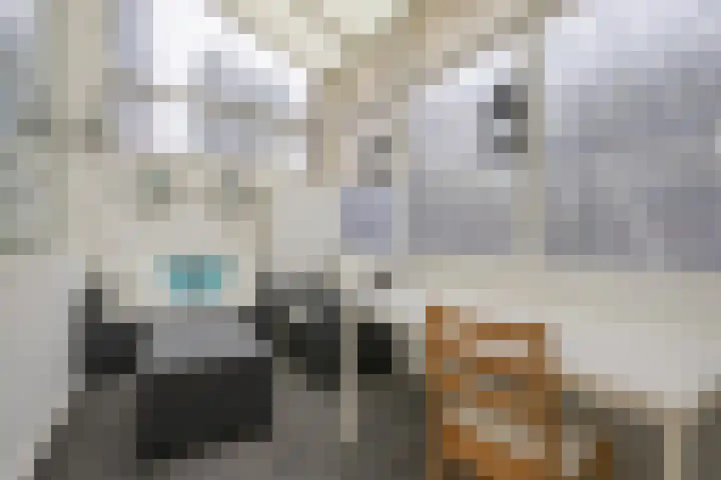 Geervlietstraat 30 Rotterdam thumbnail 9