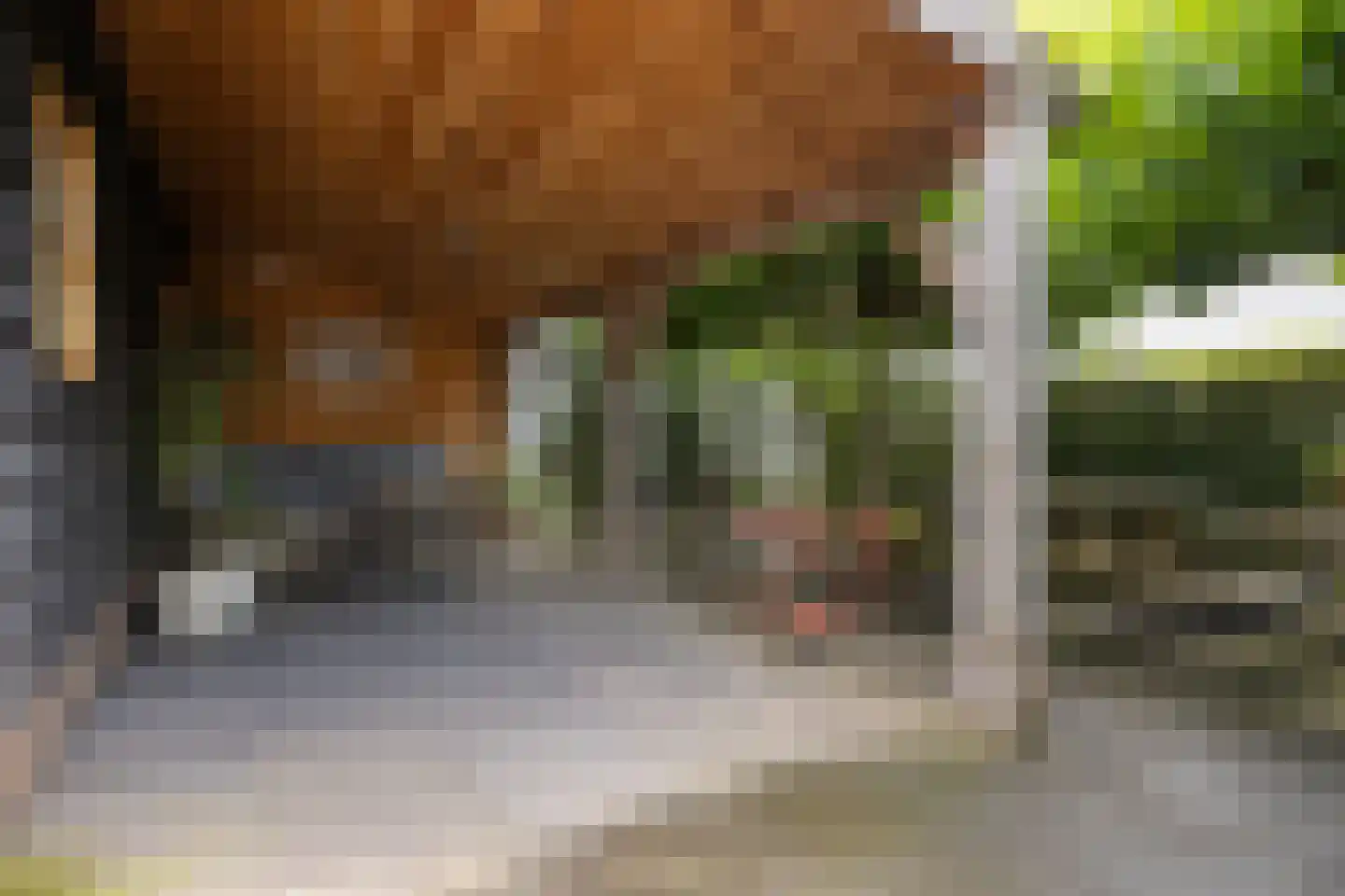 Geerweg 5 Bruchem thumbnail 13