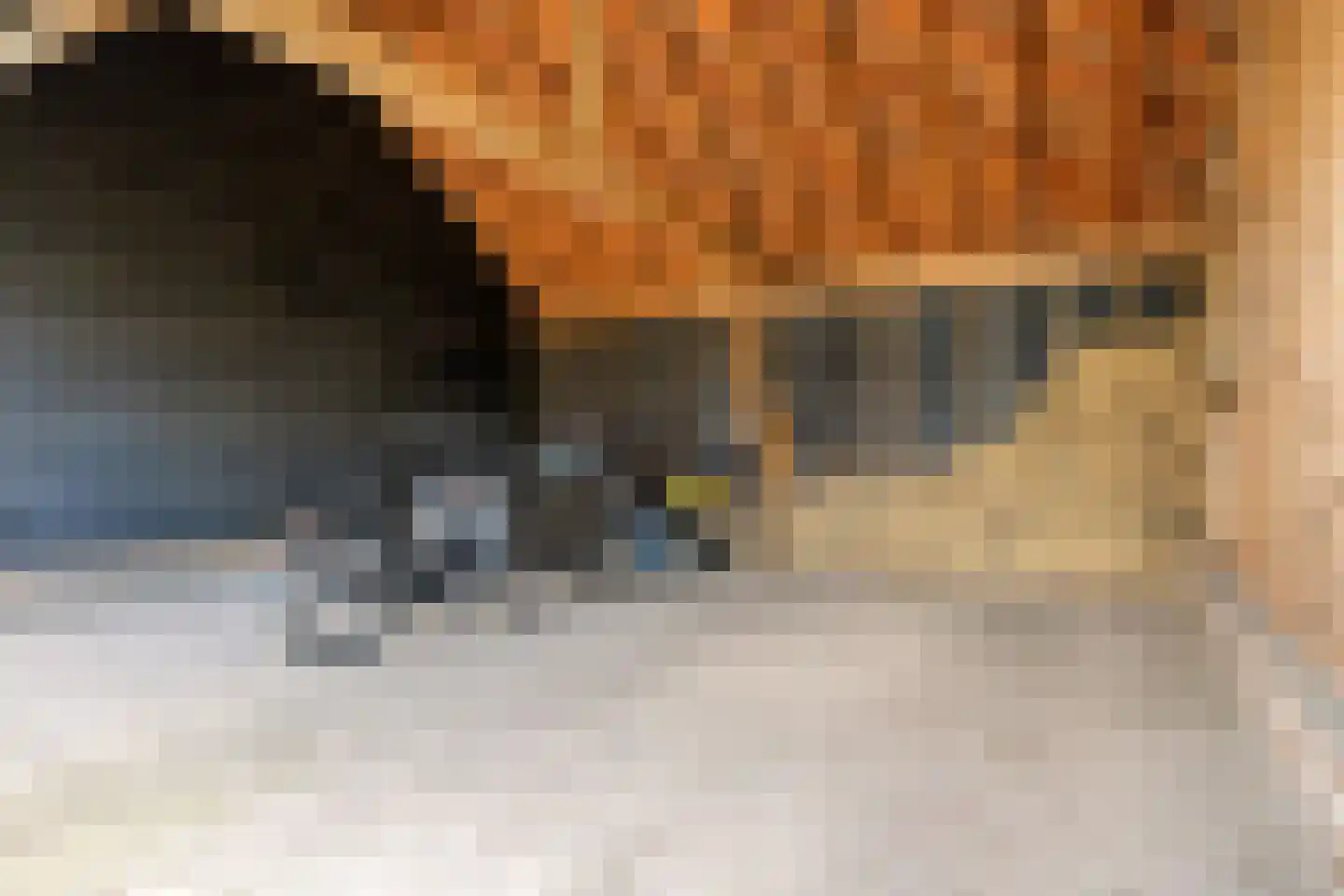 Geerweg 5 Bruchem thumbnail 15
