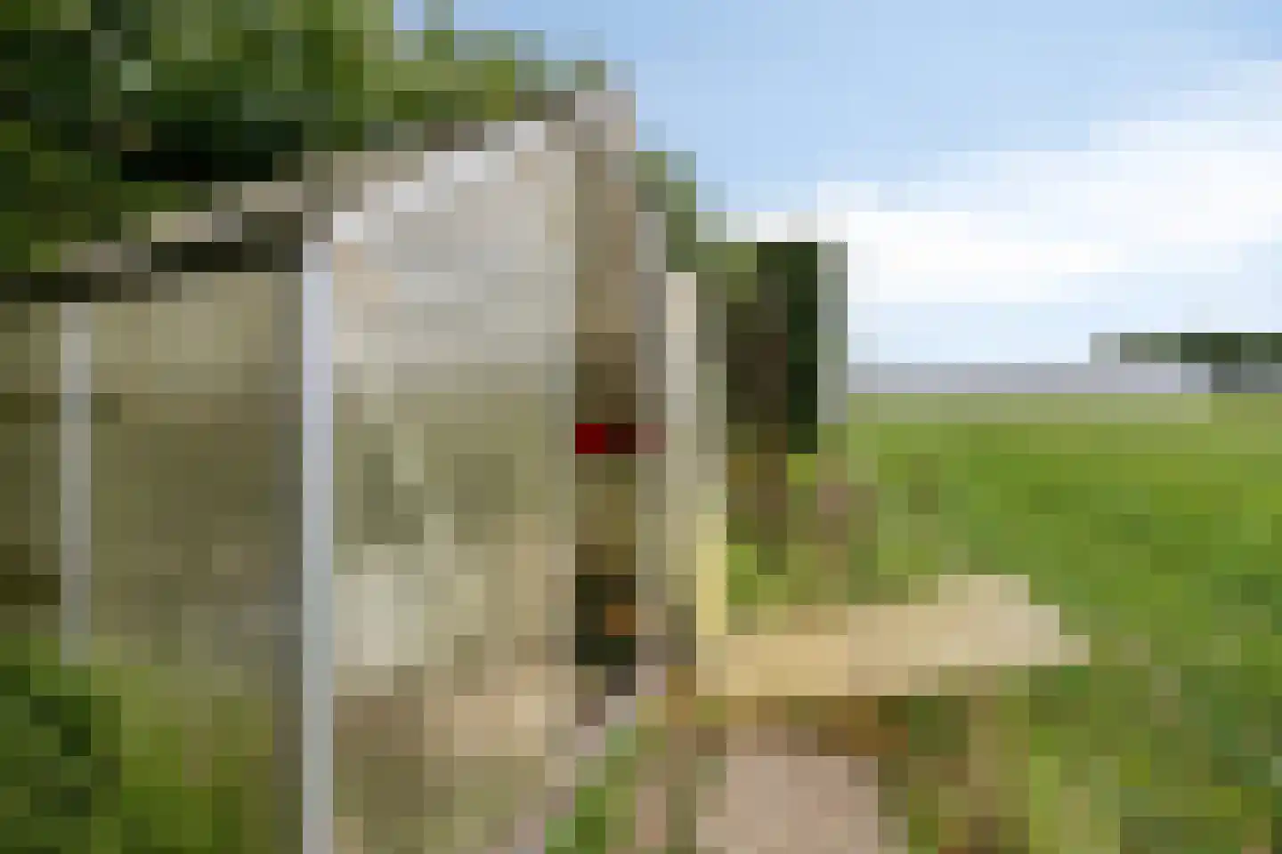 Geerweg 5 Bruchem thumbnail 17