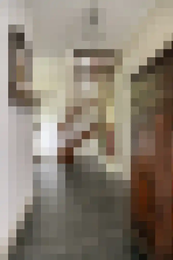 Geerweg 5 Bruchem thumbnail 19