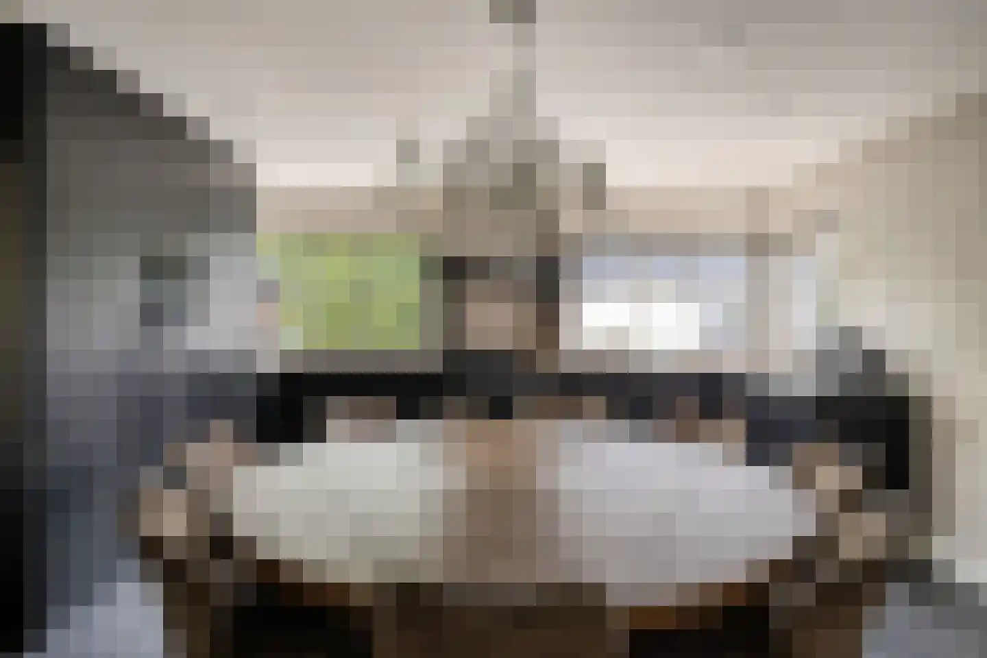 Geerweg 5 Bruchem thumbnail 25
