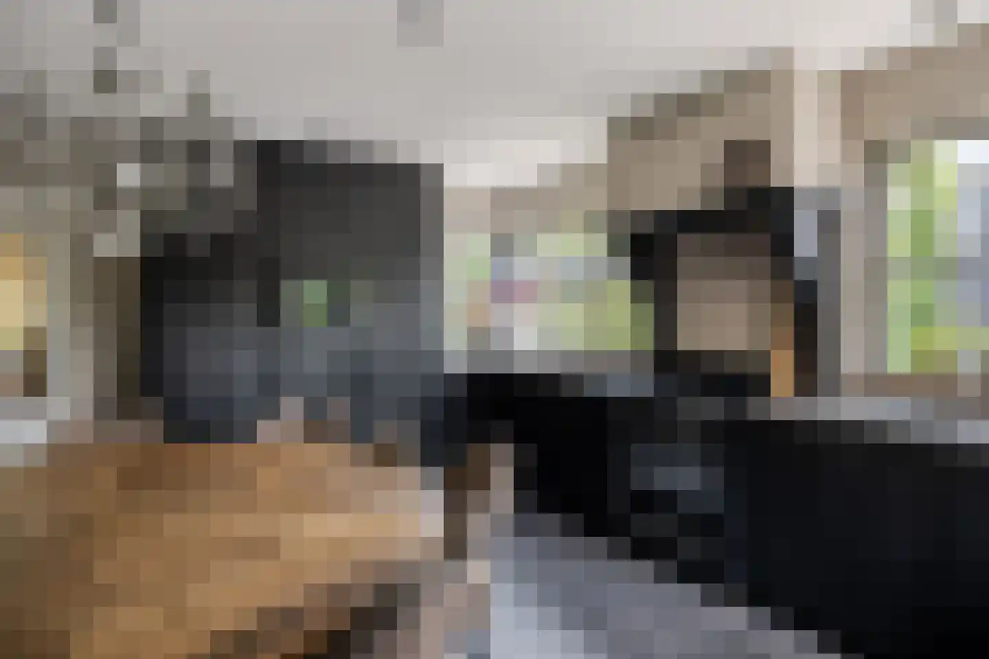 Geerweg 5 Bruchem thumbnail 26