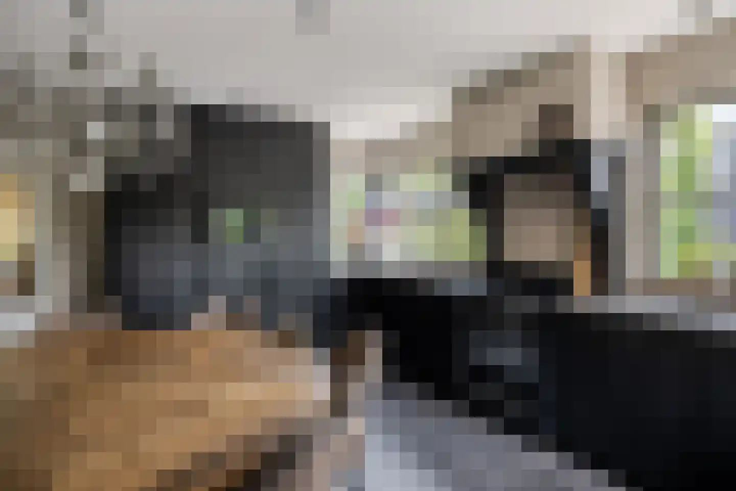Geerweg 5 Bruchem thumbnail 27
