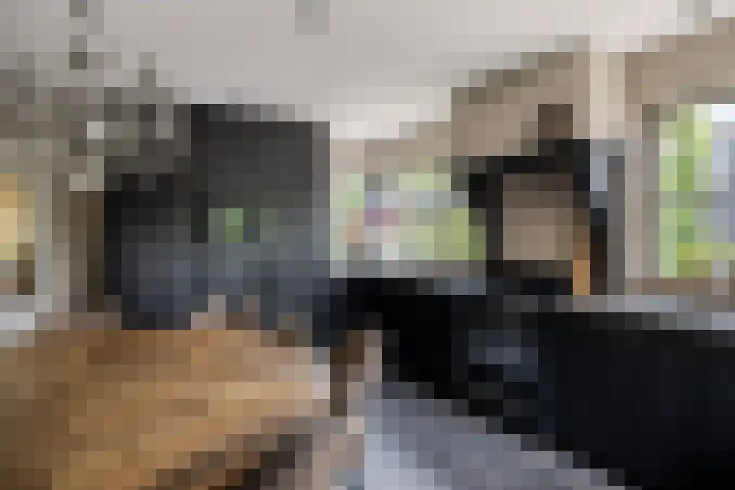 Geerweg 5 Bruchem thumbnail 27