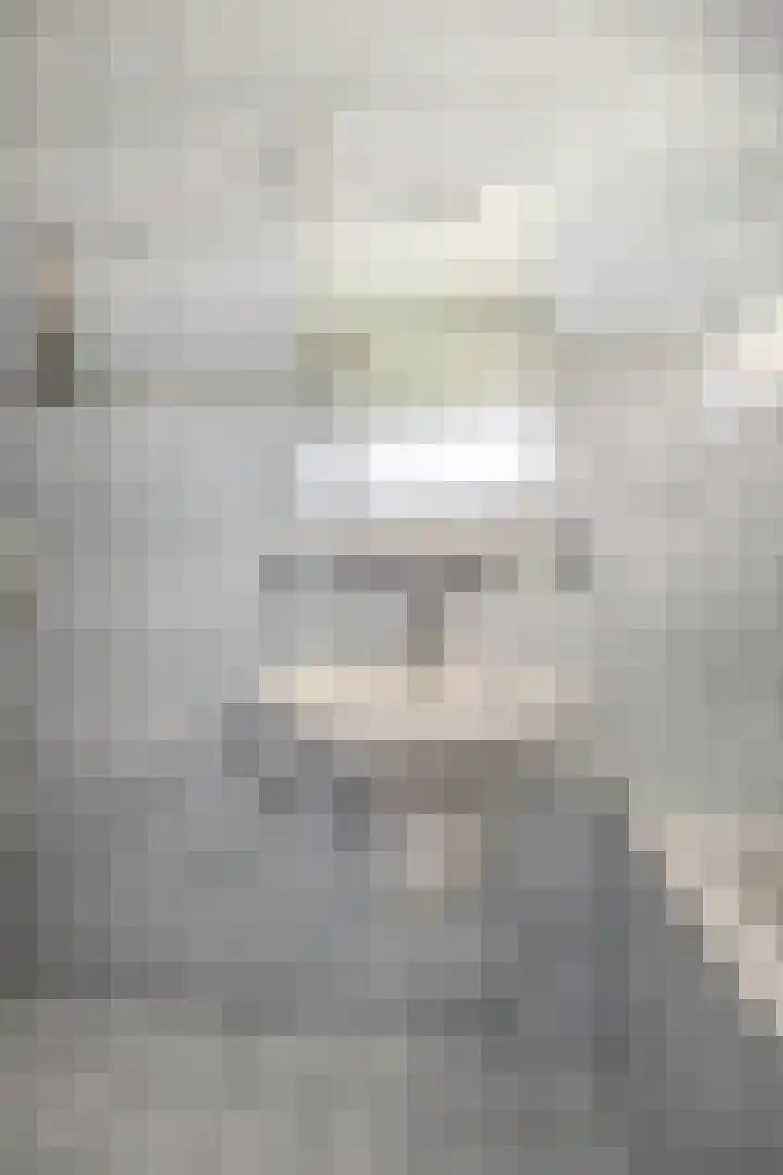 Geerweg 5 Bruchem thumbnail 33