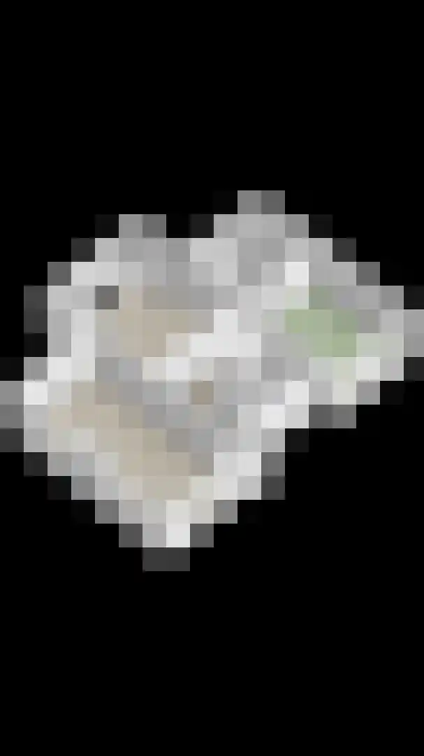 Geerweg 5 Bruchem thumbnail 48