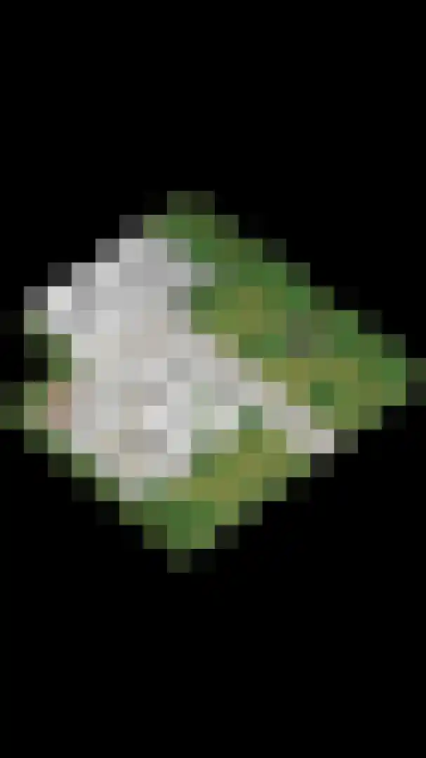 Geerweg 5 Bruchem thumbnail 52