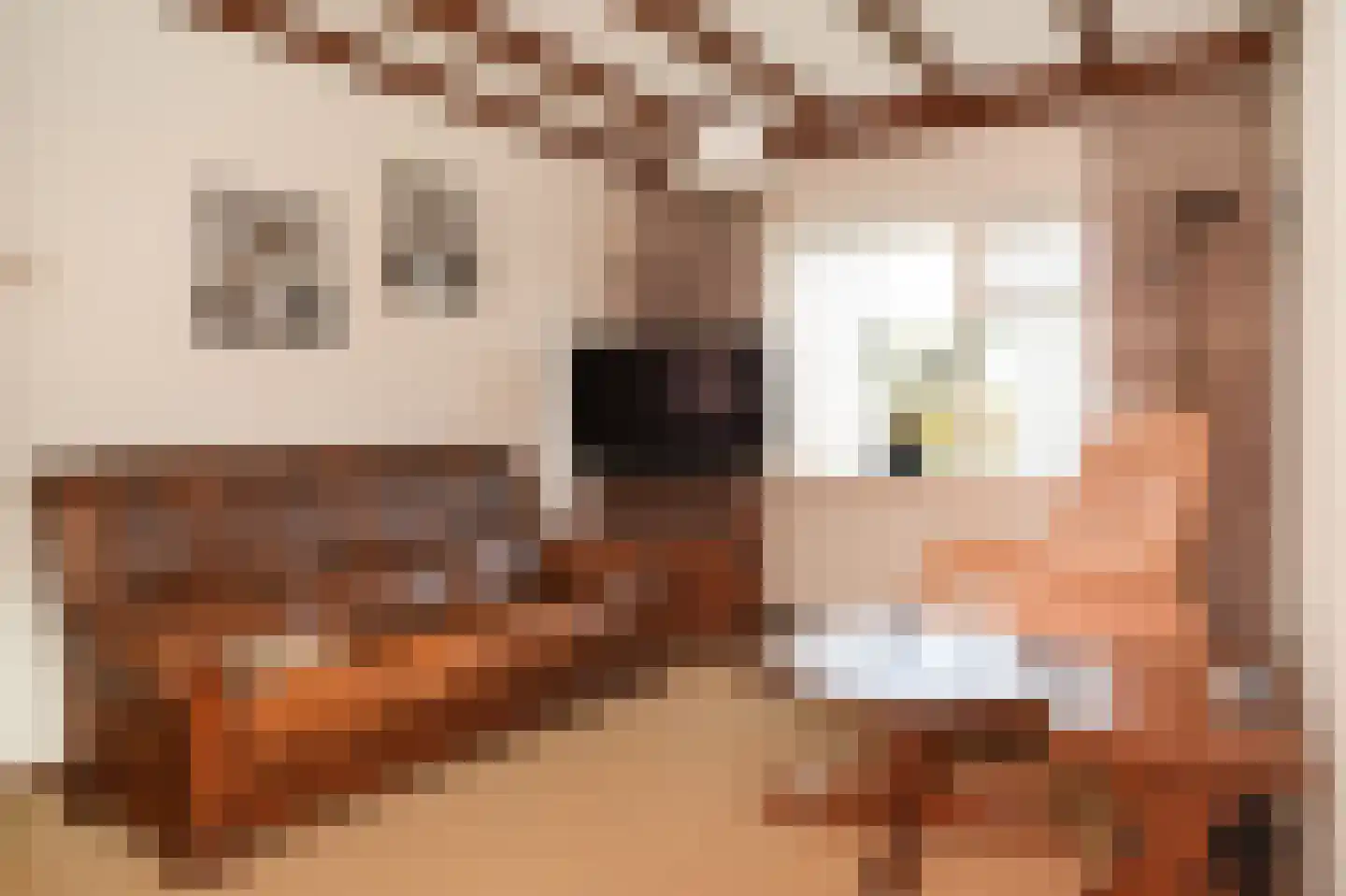 Geerweg 6 Alphen thumbnail 8