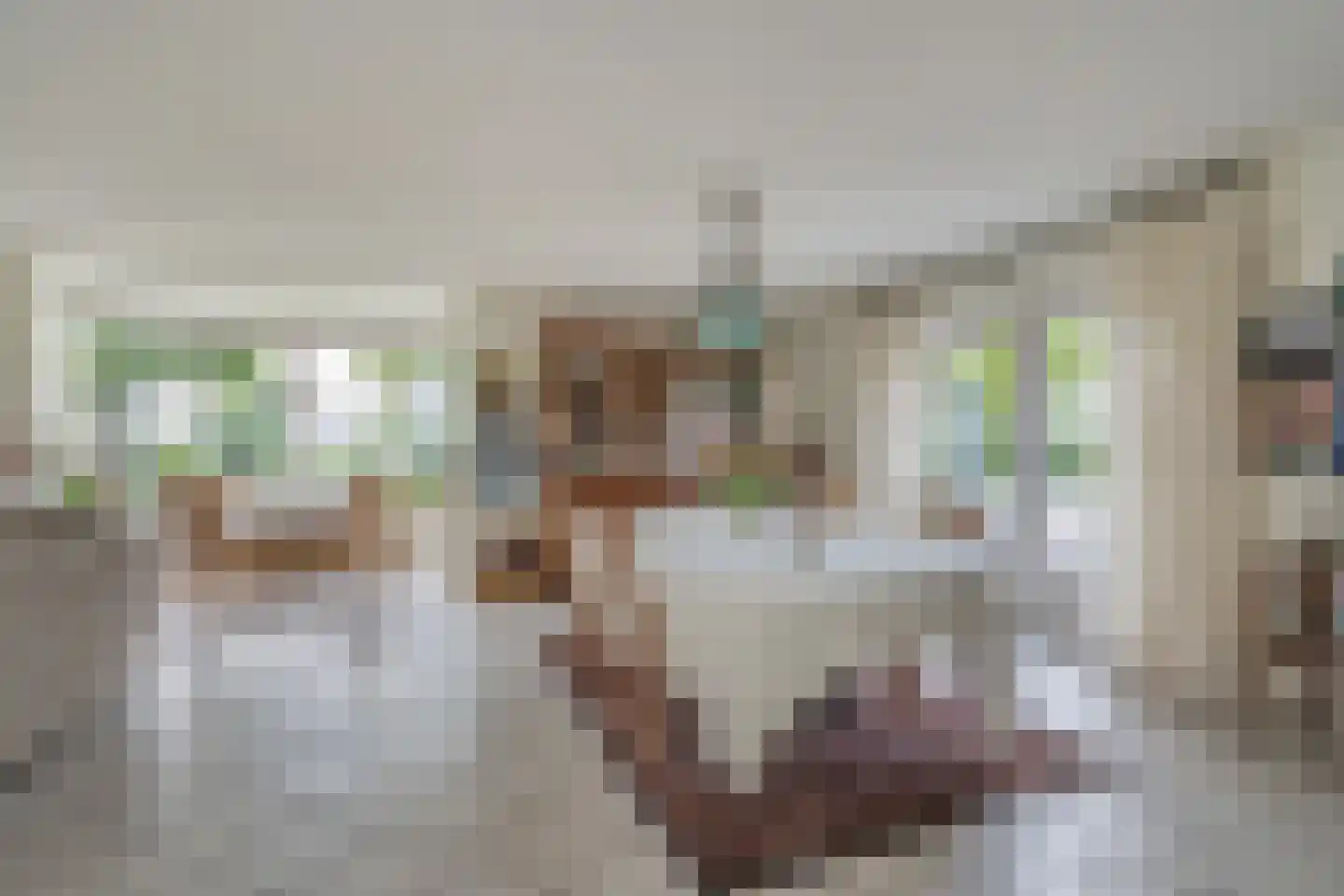 Geerweg 61 Nootdorp thumbnail 22