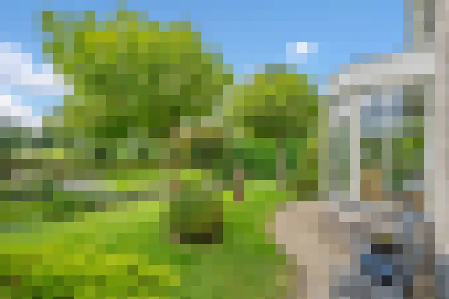 Geerweg 61 Nootdorp thumbnail 39