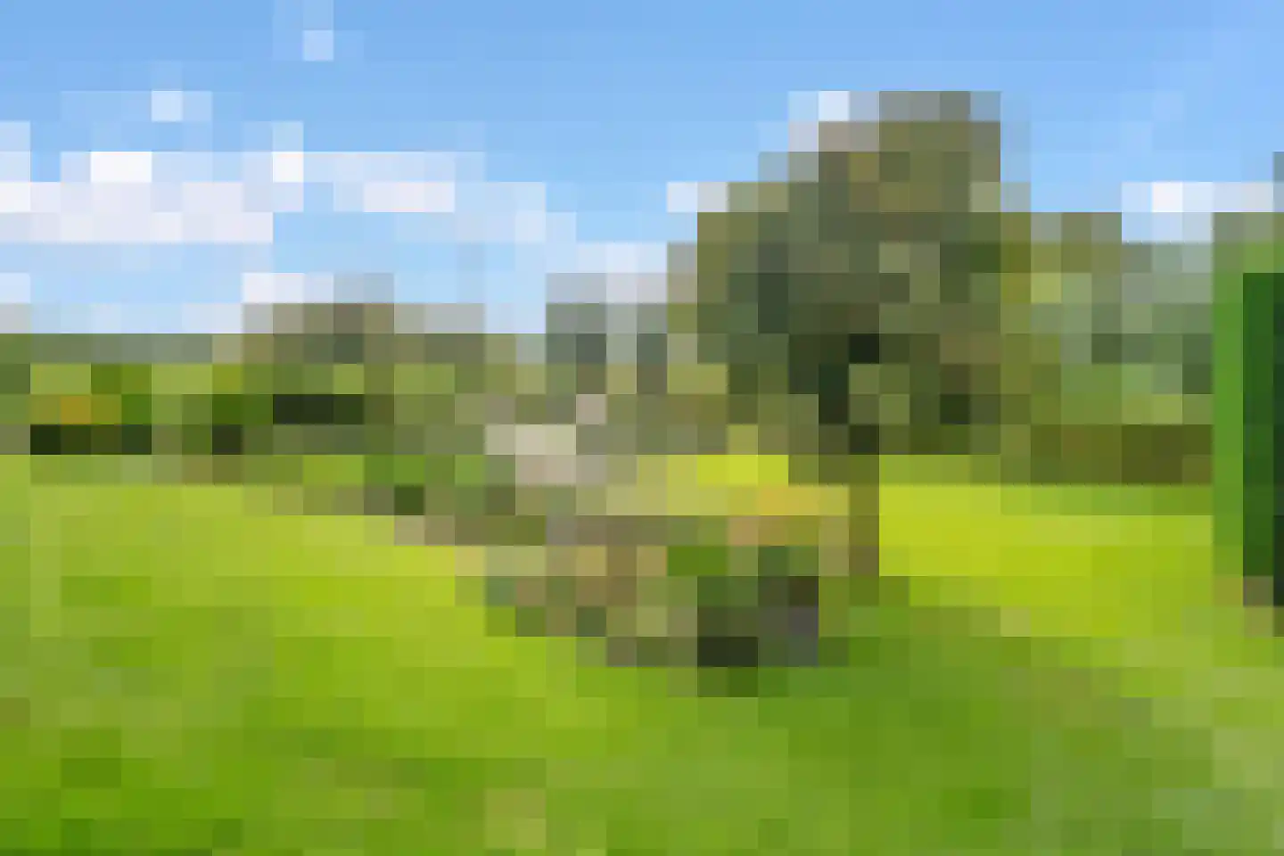 Geerweg 61 Nootdorp thumbnail 40