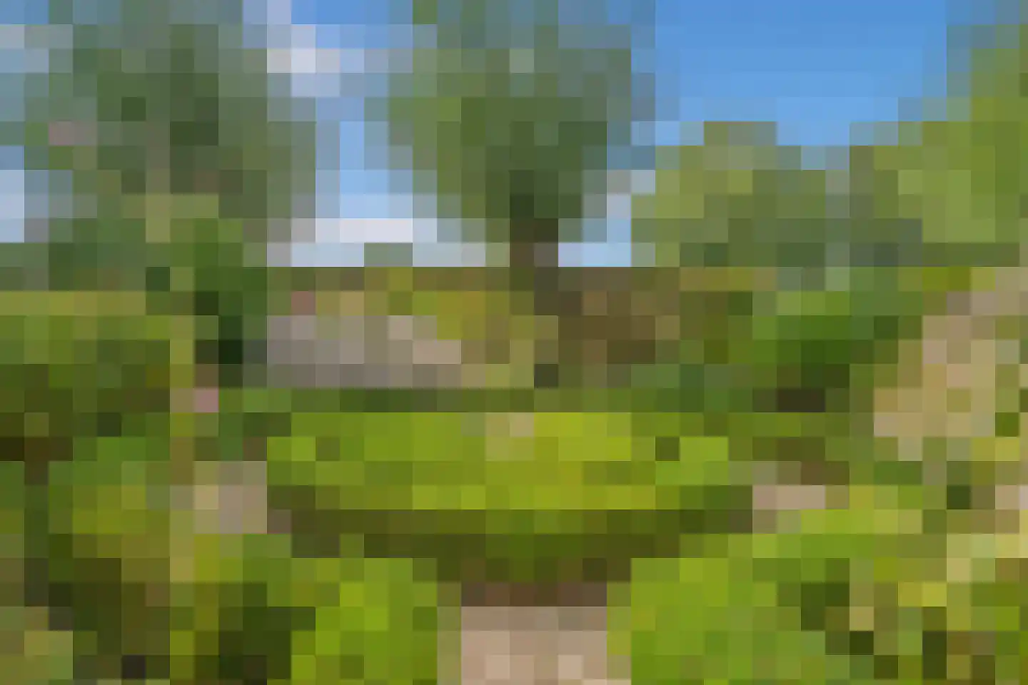 Geerweg 61 Nootdorp thumbnail 41