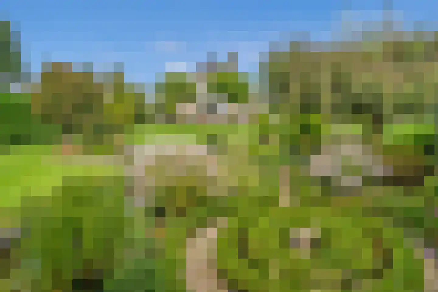 Geerweg 61 Nootdorp thumbnail 42