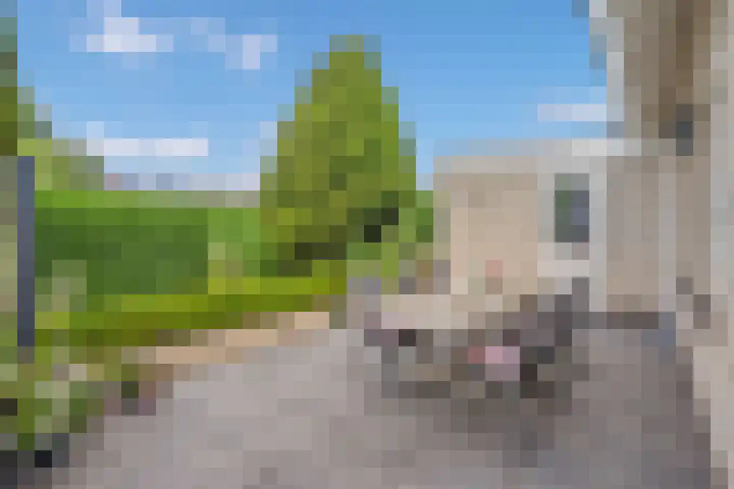 Geerweg 61 Nootdorp thumbnail 43