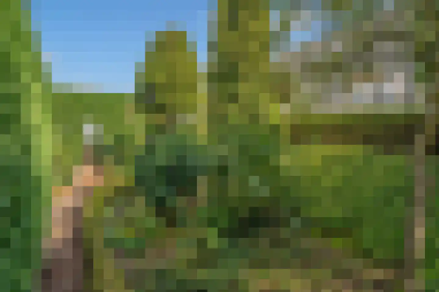 Geerweg 61 Nootdorp thumbnail 46