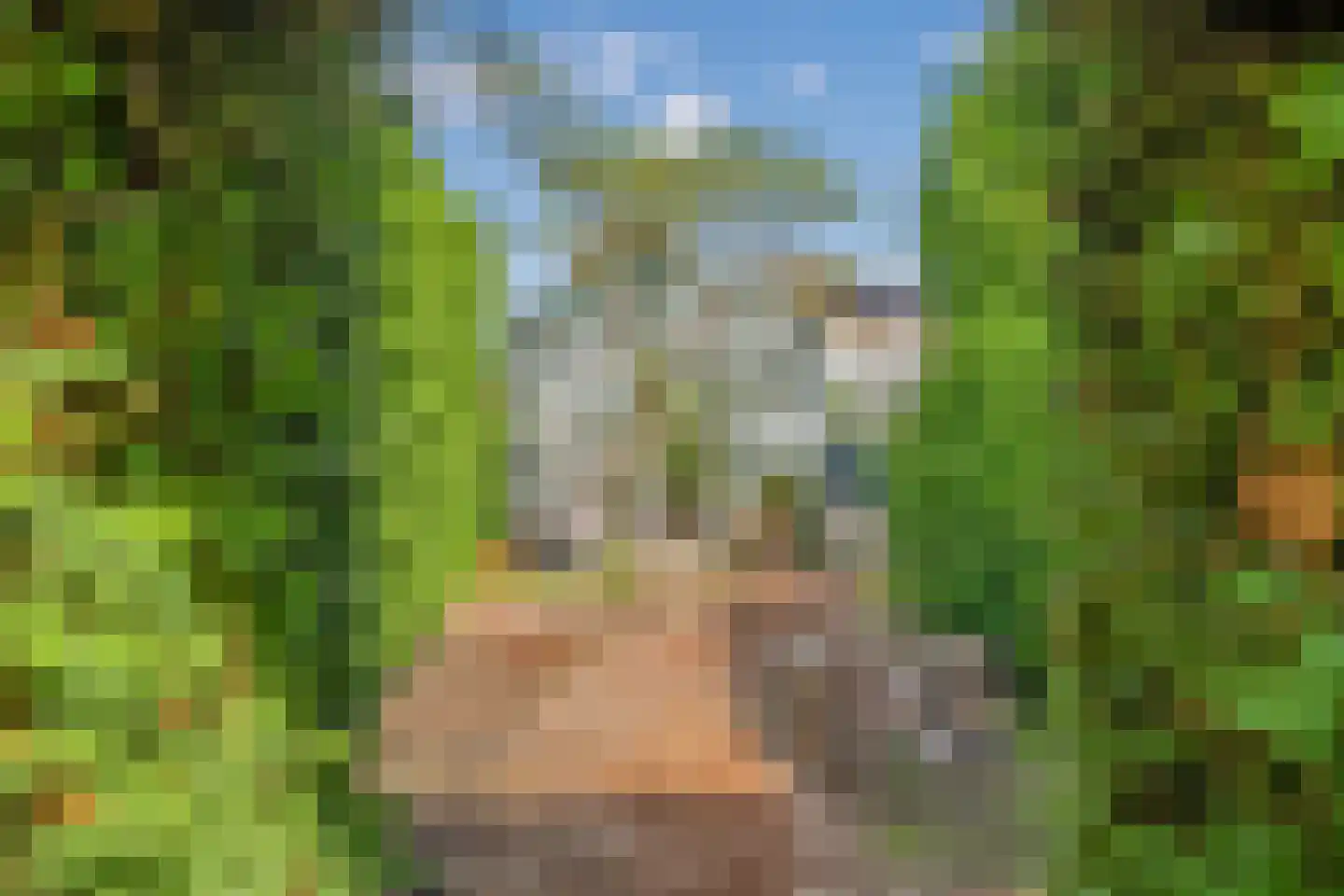 Geerweg 61 Nootdorp thumbnail 49