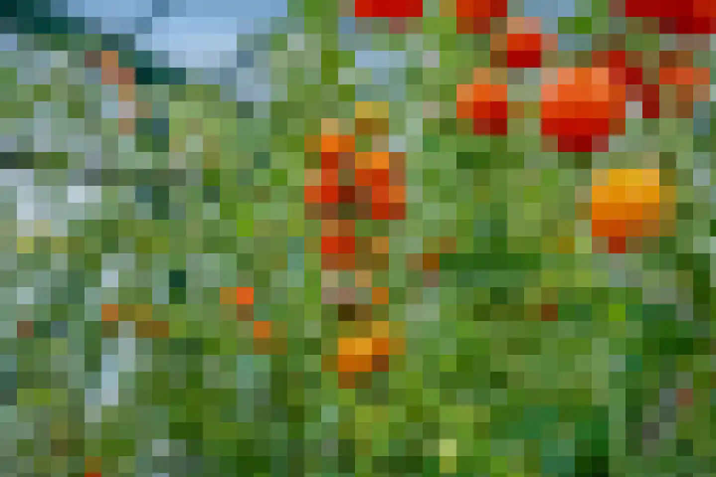 Geerweg 61 Nootdorp thumbnail 51