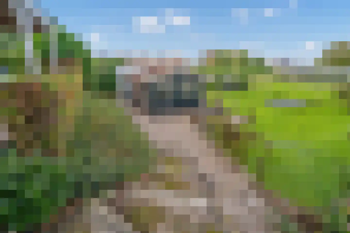 Geerweg 61 Nootdorp thumbnail 52