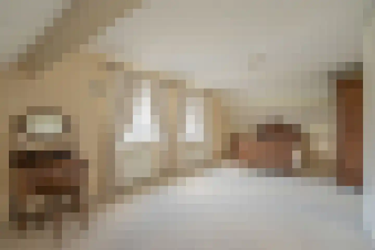 Geerweg 61 Nootdorp thumbnail 62