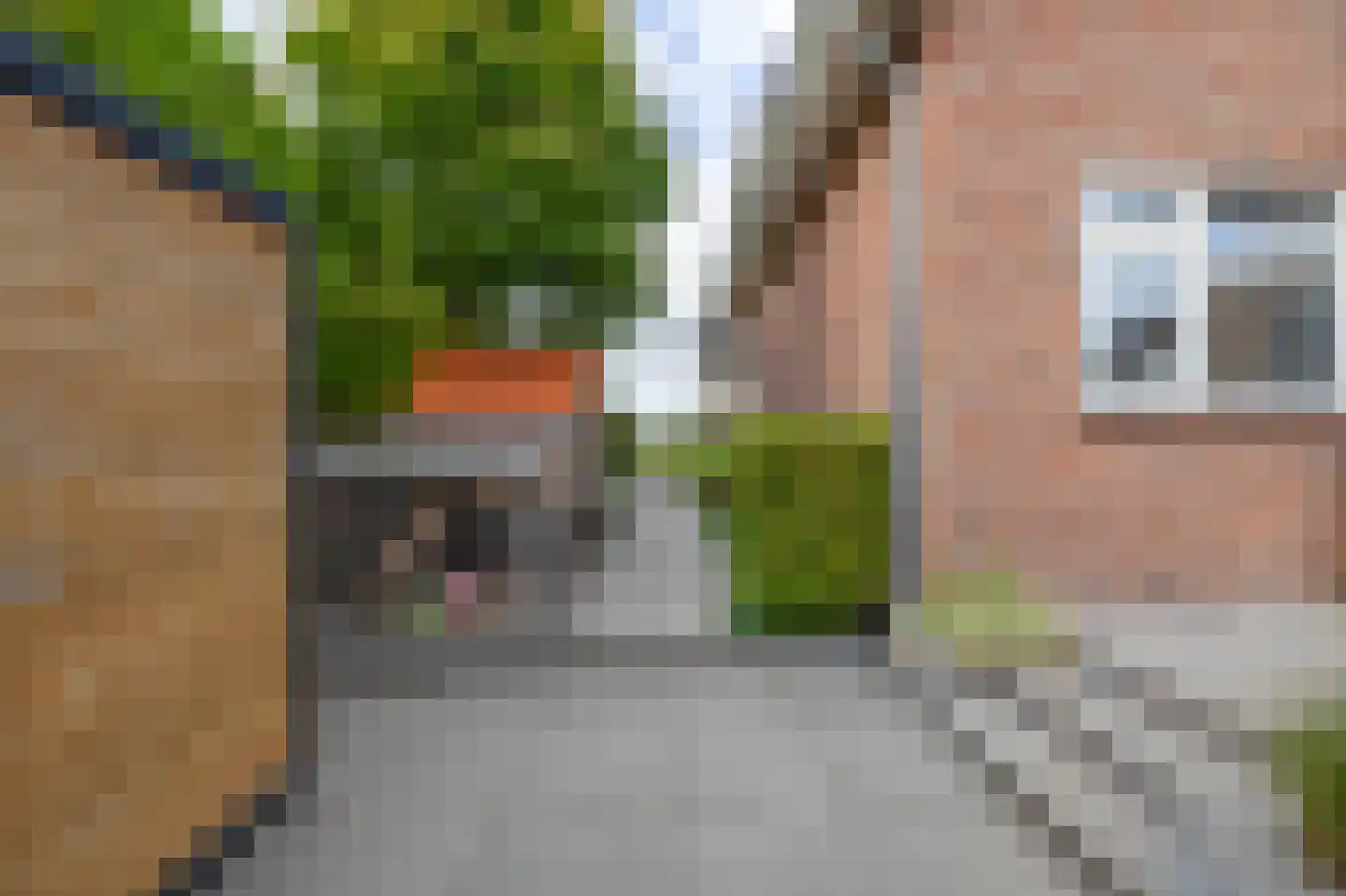 Geerweg 7 Benthuizen thumbnail 21