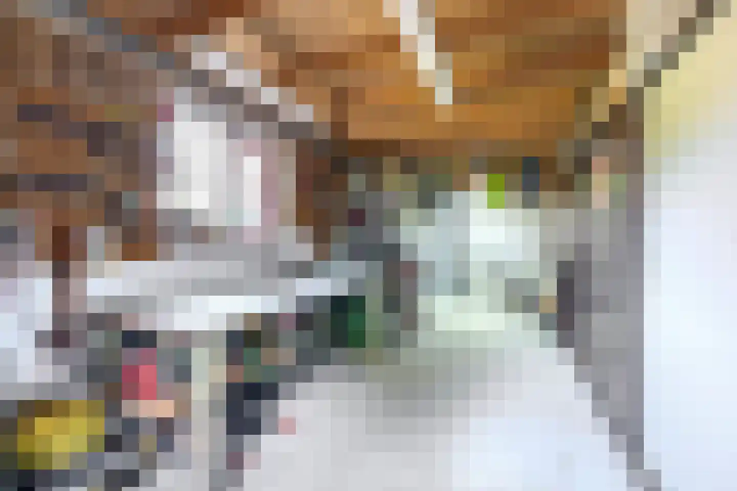 Geerweg 7 Benthuizen thumbnail 42