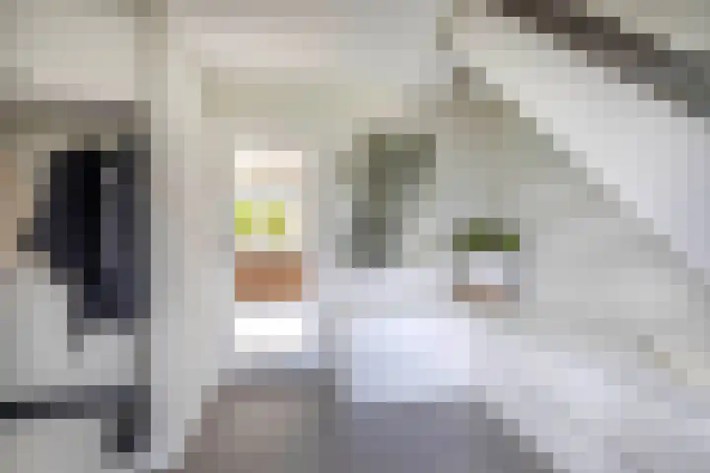 Geerweg 7 Benthuizen thumbnail 7