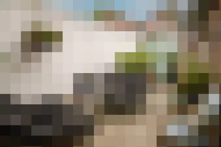 Geerweg 70 Delft thumbnail 18