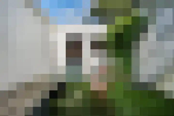Geerweg 73 Delft thumbnail 24