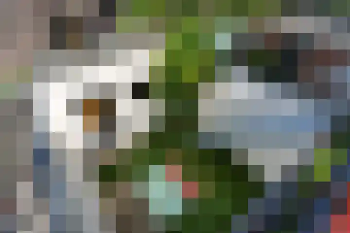 Geerweg 73 Delft thumbnail 28