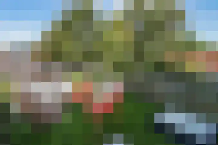 Geerweg 73 Delft thumbnail 30