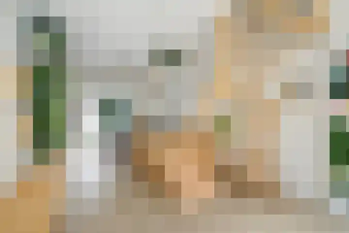 Geerweg 73 Delft thumbnail 7