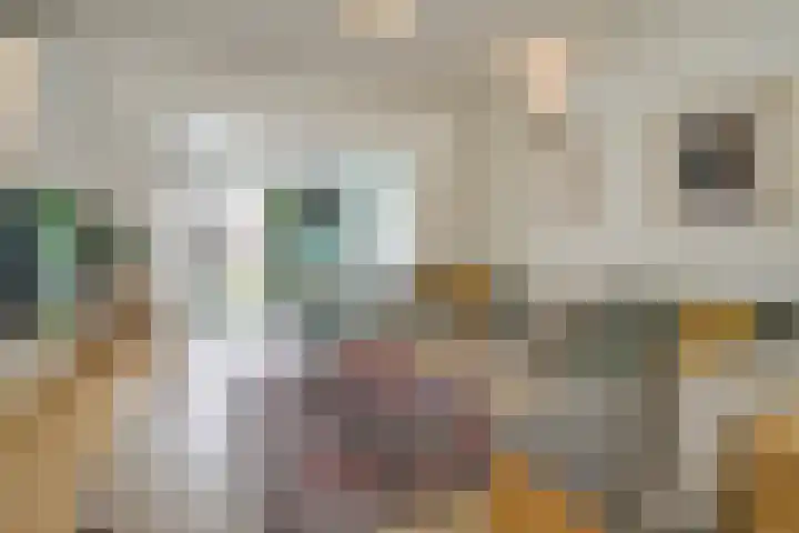 Geerweg 73 Delft thumbnail 8