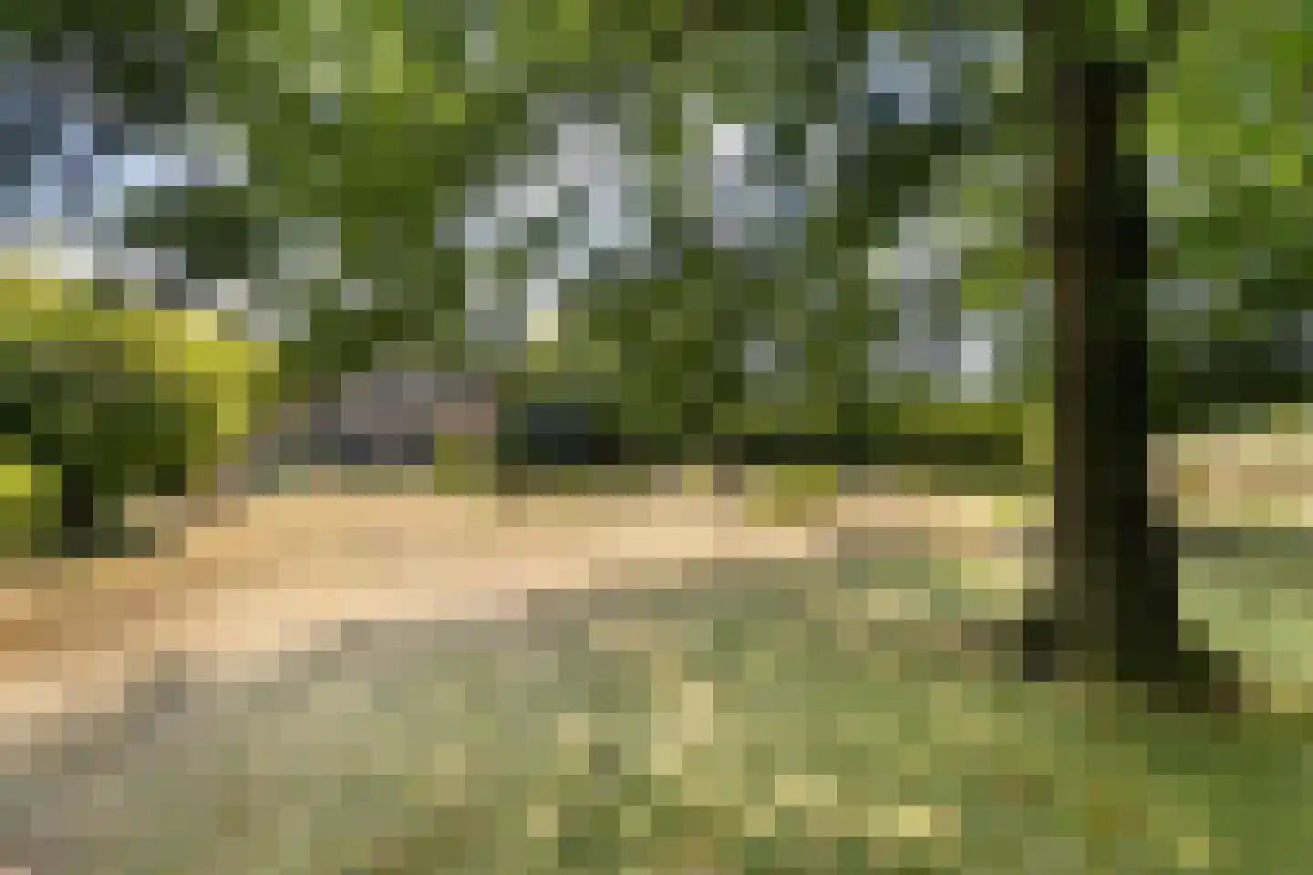 Geerweien 1 Merkelbeek thumbnail 21