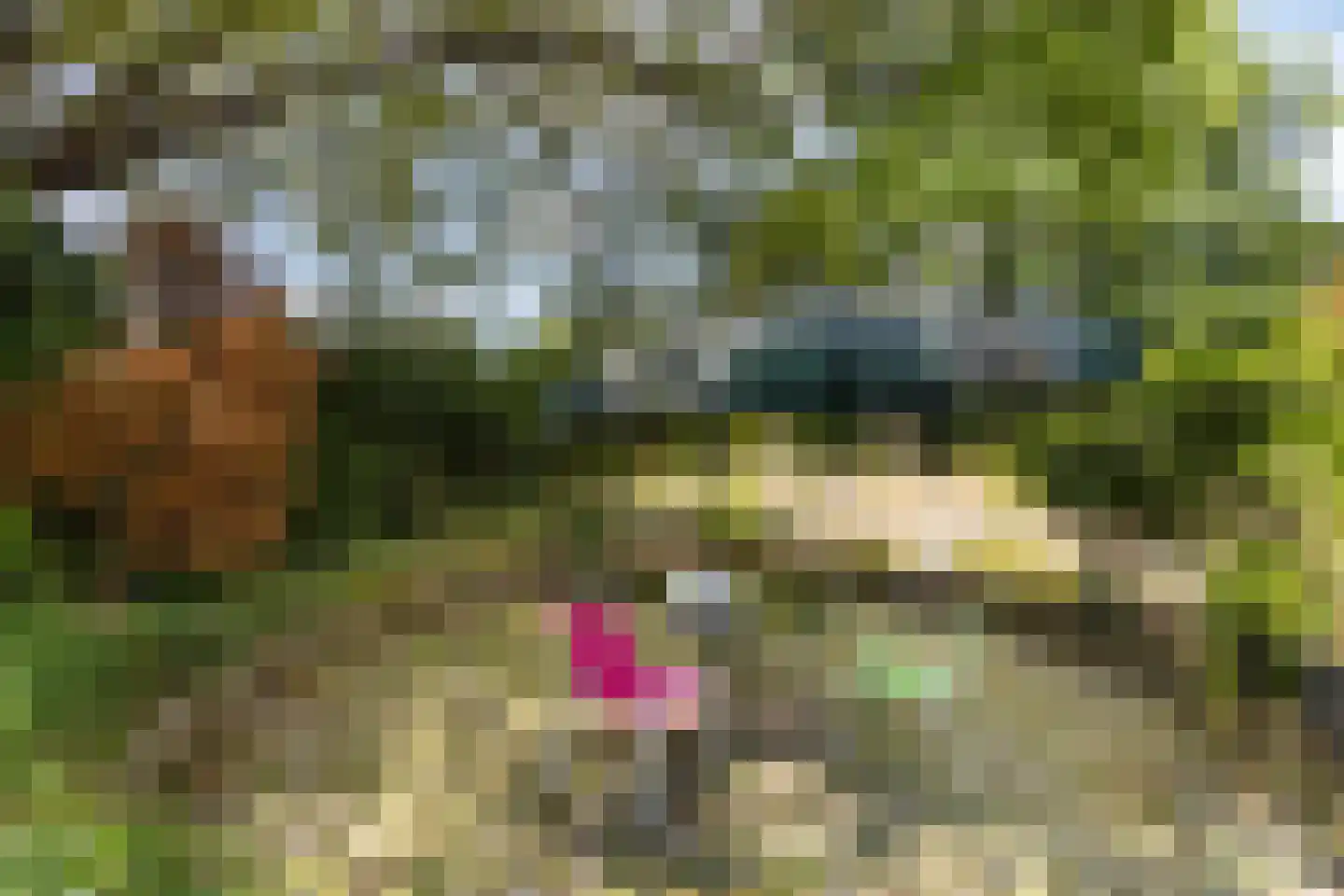 Geerweien 1 Merkelbeek thumbnail 23