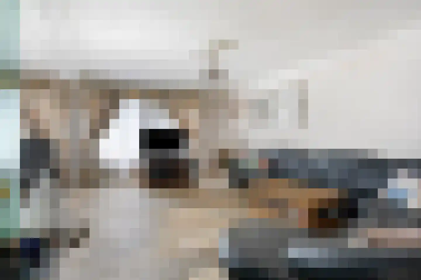 Geerweien 1 Merkelbeek thumbnail 5