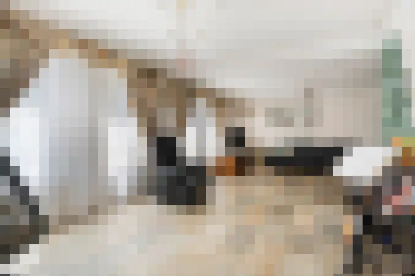 Geerweien 1 Merkelbeek thumbnail 7