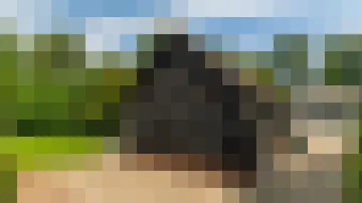 Geeserraai 12 a Geesbrug thumbnail 20