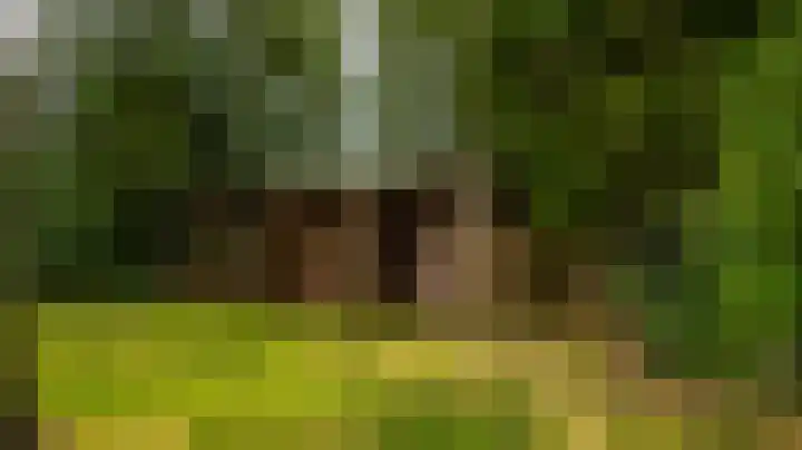 Geeserraai 12 a Geesbrug thumbnail 23