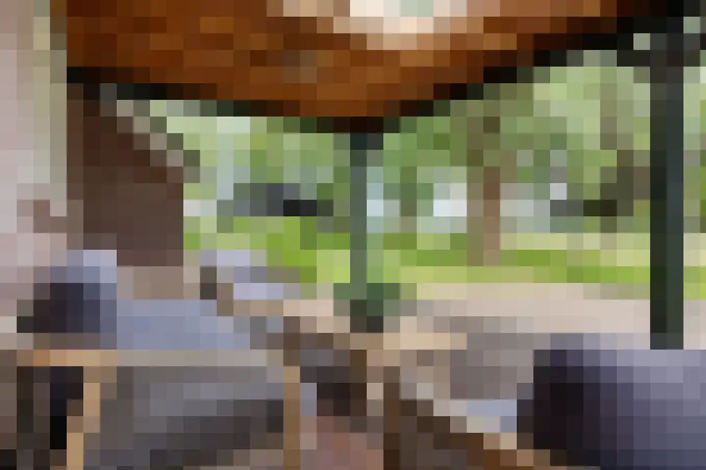 Geeserraai 12 c Geesbrug thumbnail 28